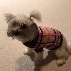 Doggo Duds—lovingly handknit for smaller pooches.